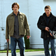 Image for article titled Action Shots From Zombieland Supernatural And Wolfman, Glamour Shots Of New Moon's Italian Vampires